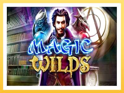 Magic Wilds: ပိုက်ဆံအတွက်ကစား