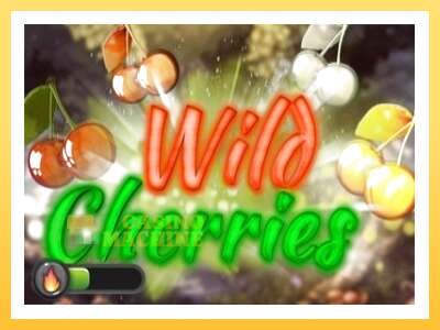 Wild Cherries: ပိုက်ဆံအတွက်ကစား