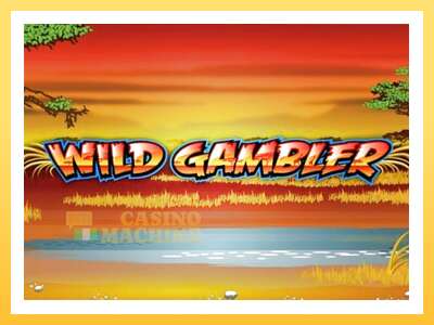 Wild Gambler: ပိုက်ဆံအတွက်ကစား