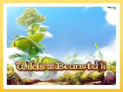 Wilds and the Beanstalk: ပိုက်ဆံအတွက်ကစား