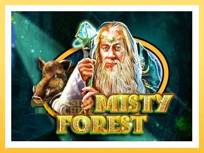 Misty Forest: ပိုက်ဆံအတွက်ကစား