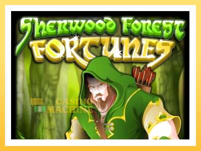 Sherwood Forest Fortunes: ပိုက်ဆံအတွက်ကစား