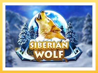 Siberian Wolf: ပိုက်ဆံအတွက်ကစား