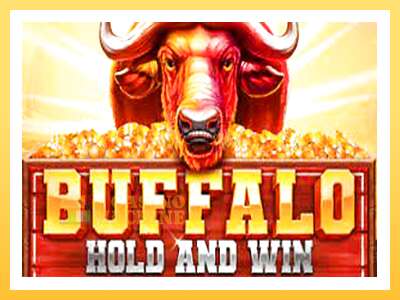 Buffalo Hold and Win Extreme: ပိုက်ဆံအတွက်ကစား