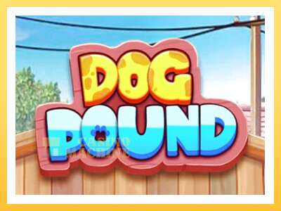 Dog Pound: ပိုက်ဆံအတွက်ကစား