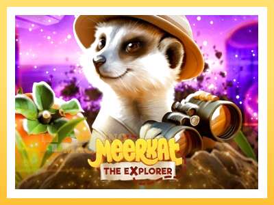 Meerkat: ပိုက်ဆံအတွက်ကစား