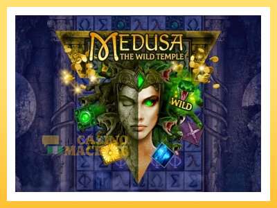 Medusa The Wild Temple: ပိုက်ဆံအတွက်ကစား