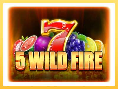 5 Wild Fire: ပိုက်ဆံအတွက်ကစား