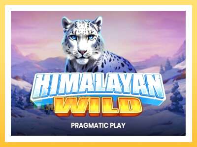 Himalayan Wild: ပိုက်ဆံအတွက်ကစား