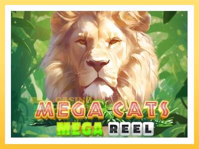 Mega Cats Mega Reel: ပိုက်ဆံအတွက်ကစား