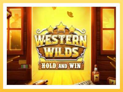 Western Wilds Hold and Win: ပိုက်ဆံအတွက်ကစား