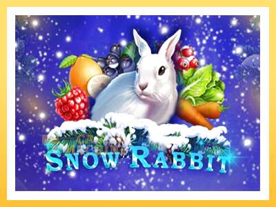 Snow Rabbit: ပိုက်ဆံအတွက်ကစား