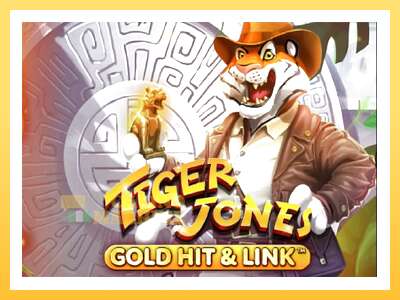 Gold Hit & Link: Tiger Jones: ပိုက်ဆံအတွက်ကစား