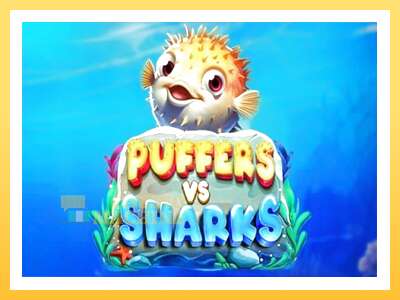 Puffers Vs Sharks: ပိုက်ဆံအတွက်ကစား