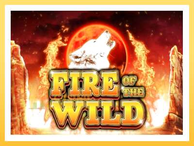 Fire of the Wild: ပိုက်ဆံအတွက်ကစား