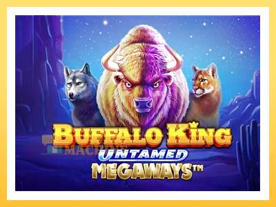 Buffalo King Untamed Megaways: ပိုက်ဆံအတွက်ကစား