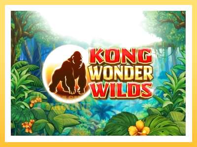 Kong Wonder Wilds: ပိုက်ဆံအတွက်ကစား