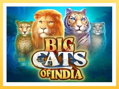 Big Cats of India: ပိုက်ဆံအတွက်ကစား