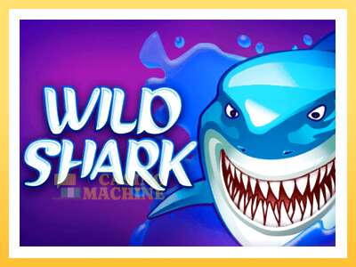 Wild Shark: ပိုက်ဆံအတွက်ကစား