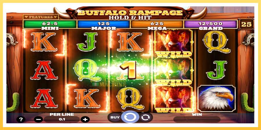 Buffalo Rampage Hold & Hit: ပိုက်ဆံအတွက်ကစား, ပုံ 3