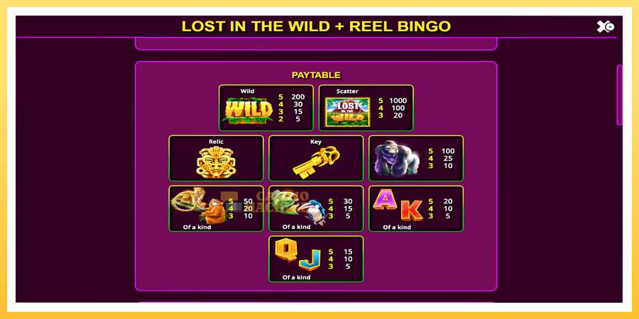 Lost in the Wild with Reel Bingo: ပိုက်ဆံအတွက်ကစား, ပုံ 6