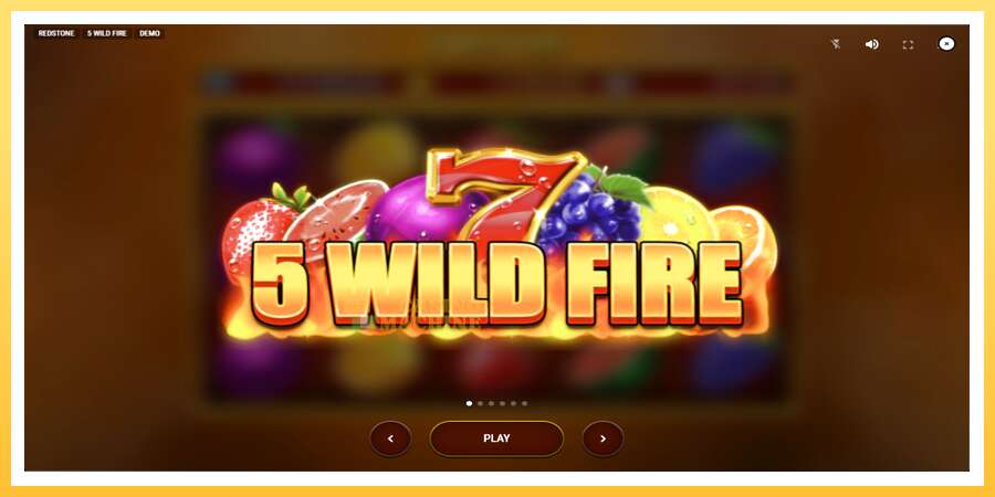 5 Wild Fire: ပိုက်ဆံအတွက်ကစား, ပုံ 1