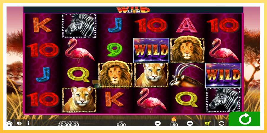 Wild Lion with Reel Bingo: ပိုက်ဆံအတွက်ကစား, ပုံ 1