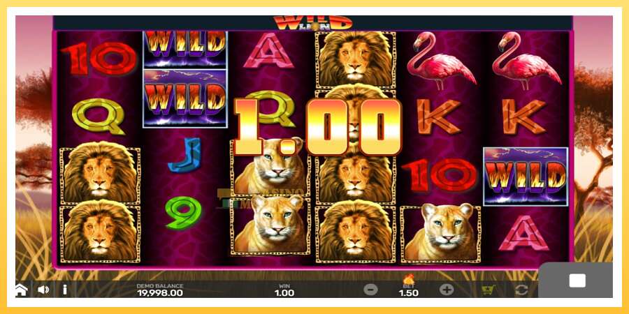 Wild Lion with Reel Bingo: ပိုက်ဆံအတွက်ကစား, ပုံ 2