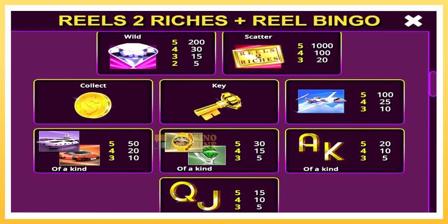 Reels 2 Riches with Reel Bingo: ပိုက်ဆံအတွက်ကစား, ပုံ 6