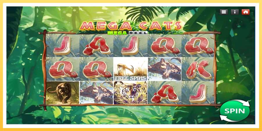 Mega Cats Mega Reel: ပိုက်ဆံအတွက်ကစား, ပုံ 1