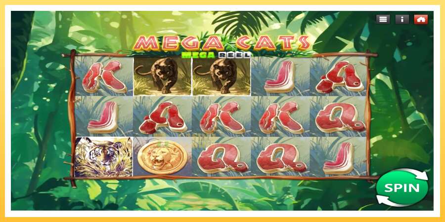 Mega Cats Mega Reel: ပိုက်ဆံအတွက်ကစား, ပုံ 2