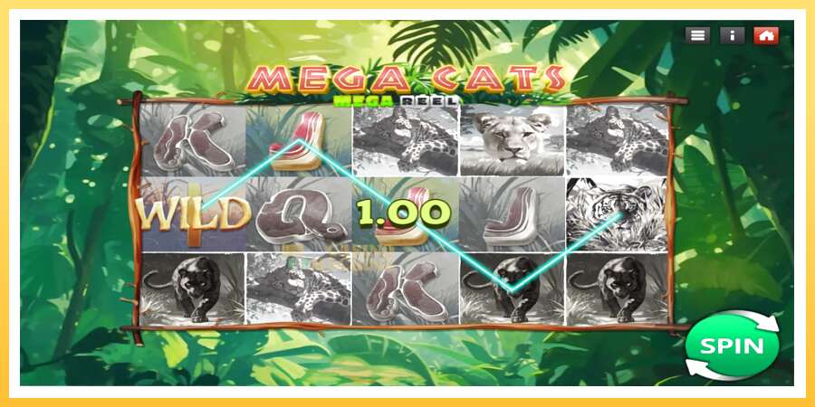 Mega Cats Mega Reel: ပိုက်ဆံအတွက်ကစား, ပုံ 3