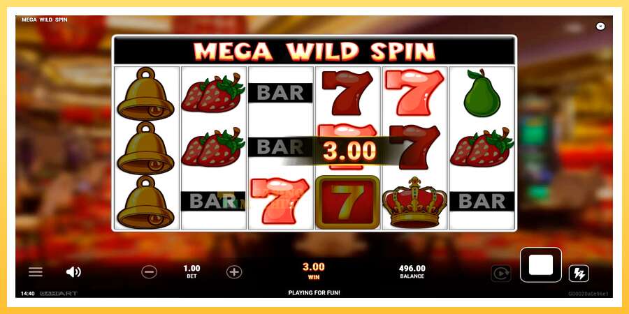 Mega Wild Spin: ပိုက်ဆံအတွက်ကစား, ပုံ 2