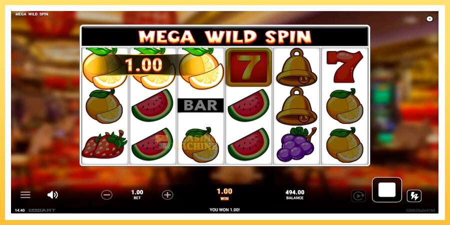 Mega Wild Spin: ပိုက်ဆံအတွက်ကစား, ပုံ 5