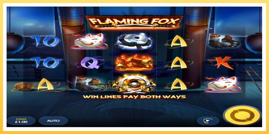 Flaming Fox: ပိုက်ဆံအတွက်ကစား, ပုံ 1