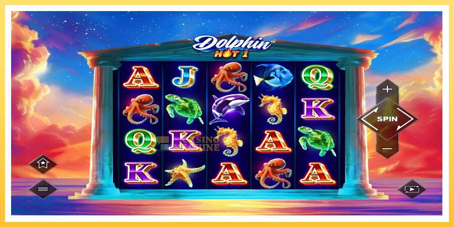 Dolphin Hot 1: ပိုက်ဆံအတွက်ကစား, ပုံ 1