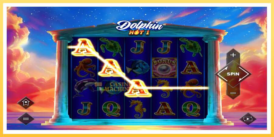 Dolphin Hot 1: ပိုက်ဆံအတွက်ကစား, ပုံ 3