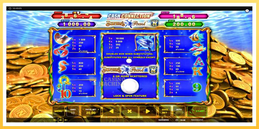 Cash Connection Dolphins Pearl: ပိုက်ဆံအတွက်ကစား, ပုံ 5