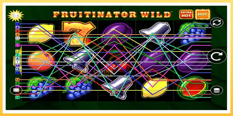 Fruitinator Wild: ပိုက်ဆံအတွက်ကစား, ပုံ 1