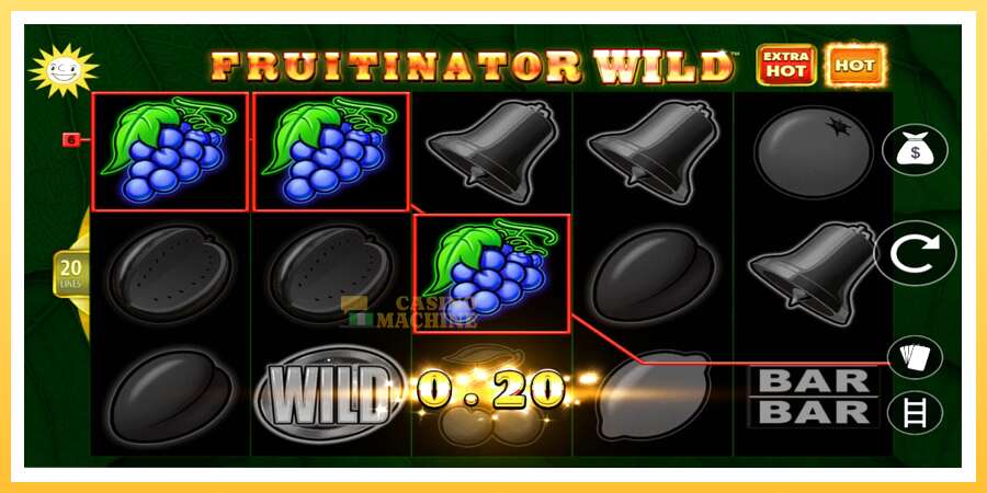 Fruitinator Wild: ပိုက်ဆံအတွက်ကစား, ပုံ 3