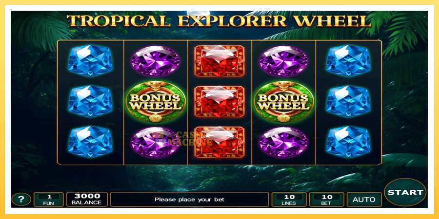 Tropical Explorer Wheel: ပိုက်ဆံအတွက်ကစား, ပုံ 1