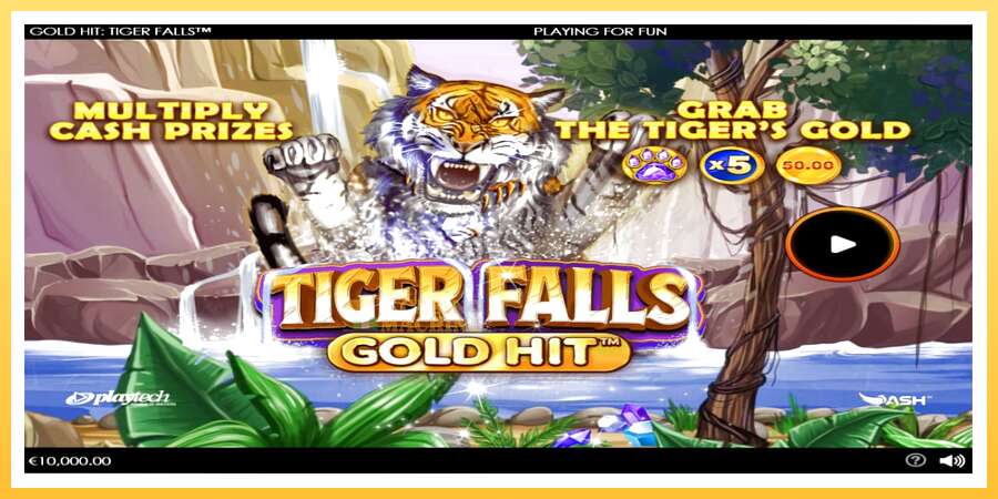 Gold Hit: Tiger Falls: ပိုက်ဆံအတွက်ကစား, ပုံ 1