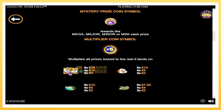 Gold Hit: Tiger Falls: ပိုက်ဆံအတွက်ကစား, ပုံ 5