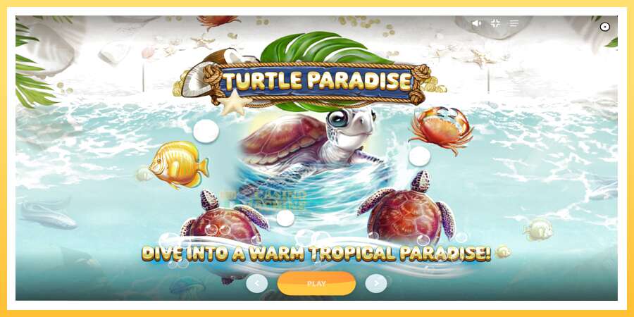 Turtle Paradise: ပိုက်ဆံအတွက်ကစား, ပုံ 1