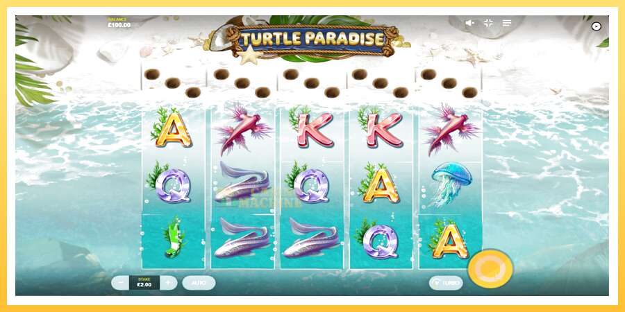 Turtle Paradise: ပိုက်ဆံအတွက်ကစား, ပုံ 2