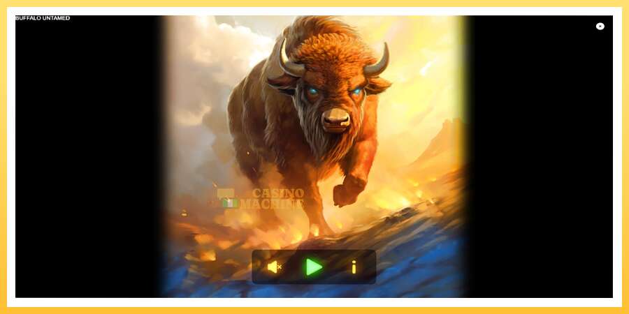 Buffalo Untamed: ပိုက်ဆံအတွက်ကစား, ပုံ 1