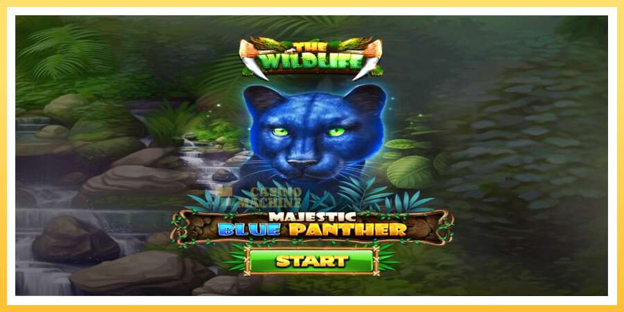 Majestic Blue Panther: ပိုက်ဆံအတွက်ကစား, ပုံ 1