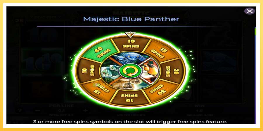 Majestic Blue Panther: ပိုက်ဆံအတွက်ကစား, ပုံ 4