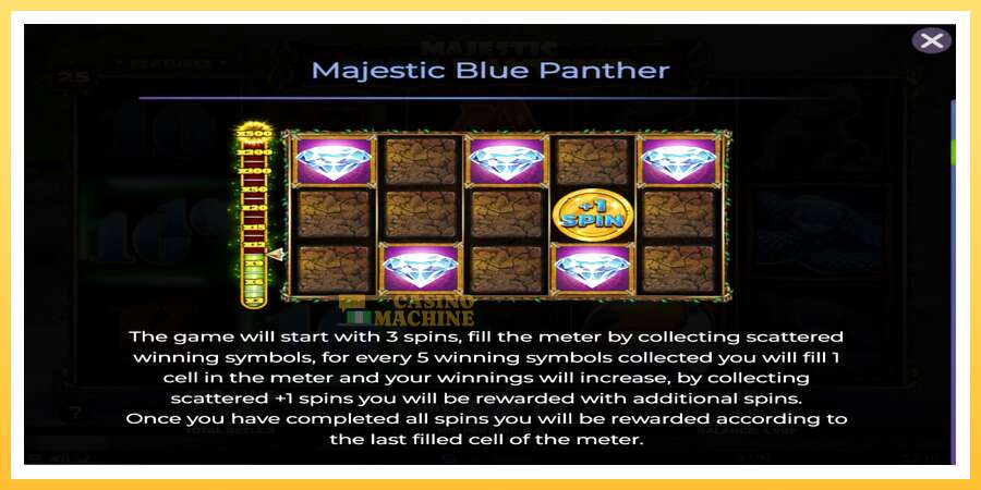 Majestic Blue Panther: ပိုက်ဆံအတွက်ကစား, ပုံ 5