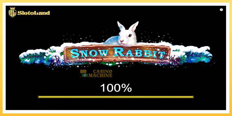 Snow Rabbit: ပိုက်ဆံအတွက်ကစား, ပုံ 1